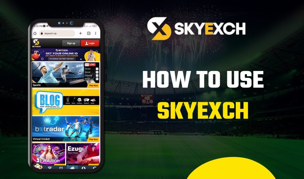 Sky Exchange 3 How to Use Sky Exchange