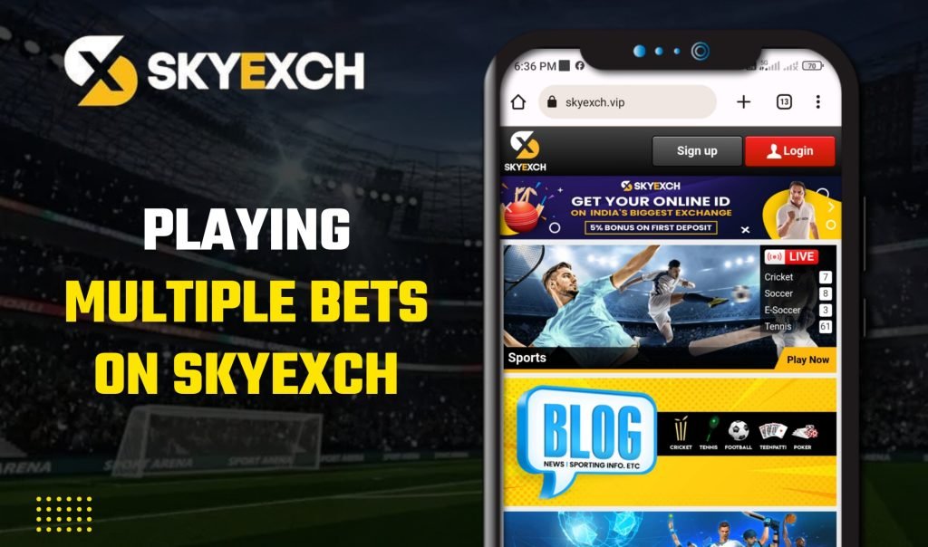 Sky Exchange 6 Playing Multiple Bets on Sky Exchange