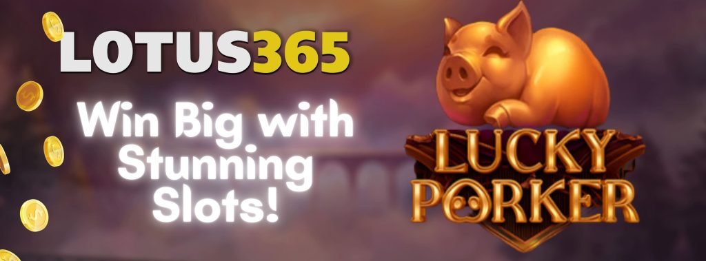 Beginner Guide to Lucky Poker on Lotus365 4 Improve Poker Skills Lotus365