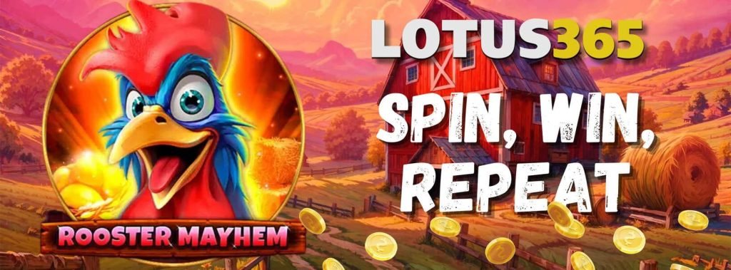 Why Rooster Mayhem Slot Is a Hit on Lotus365 7 Big wins on Rooster Mayhem