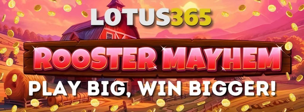 Why Rooster Mayhem Slot Is a Hit on Lotus365 2 Play Rooster Mayhem Slot
