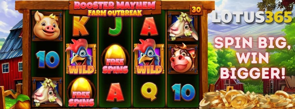 Why Rooster Mayhem Slot Is a Hit on Lotus365 4 Rooster Mayhem Slot bonuses
