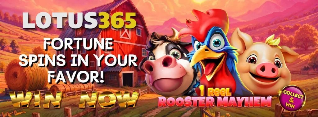 Why Rooster Mayhem Slot Is a Hit on Lotus365 5 Rooster Mayhem Slot review