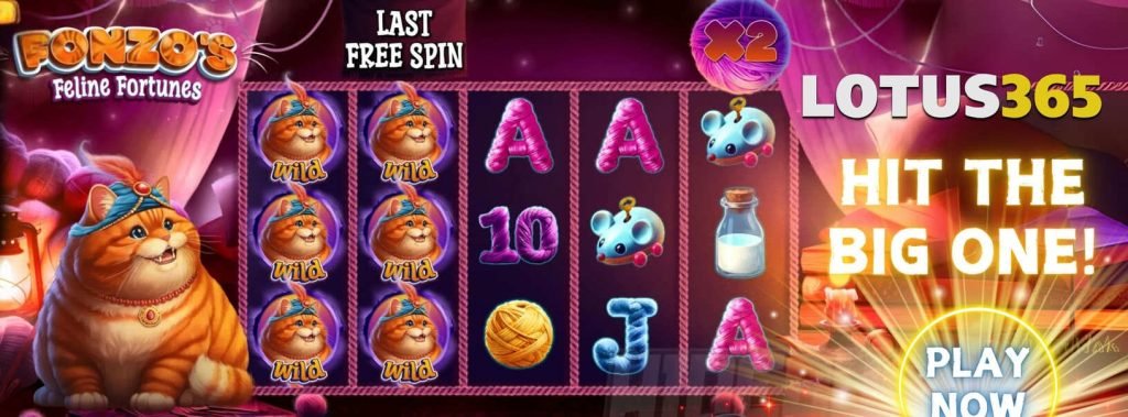 Fonzo Feline Fortunes Slot Review on Lotus365 2 Fonzo Feline Fortunes bonus