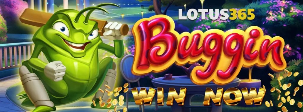 How to Play and Win Big on Buggin Slot on Lotus365 4 How to win big on Buggin Slot