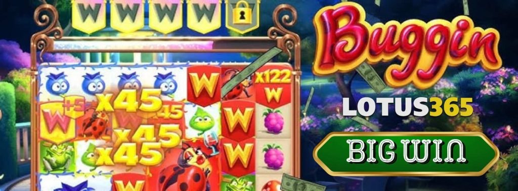 How to Play and Win Big on Buggin Slot on Lotus365 7 Play Buggin Slot on Lotus365