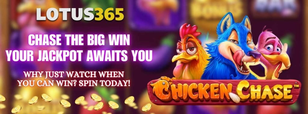 Expert Guide to Playing Chicken Chase Slot on Lotus365 5 Chicken Chase Slot bonus features