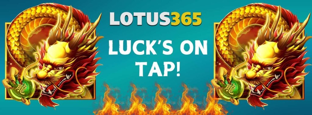 Dragon Gold 88 Slot Review on Lotus365 3 Dragon Gold 88 slot review
