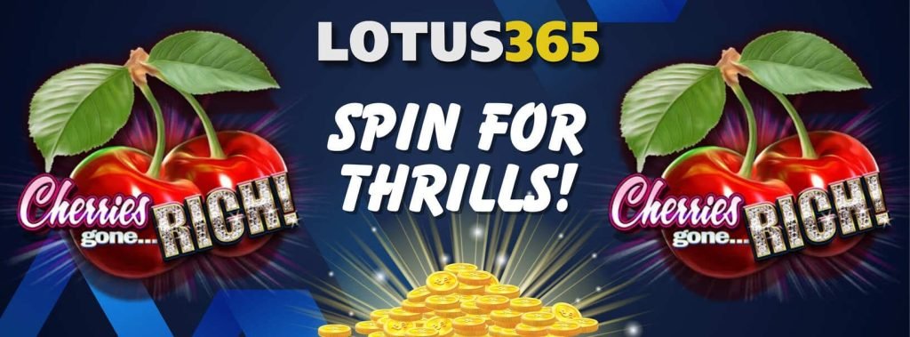 How to Play Cherries Gone Rich on Lotus365 7 How to play Cherries Gone Rich
