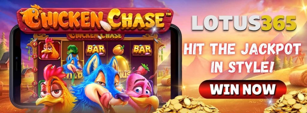 Expert Guide to Playing Chicken Chase Slot on Lotus365 7 How to win Chicken Chase Slot