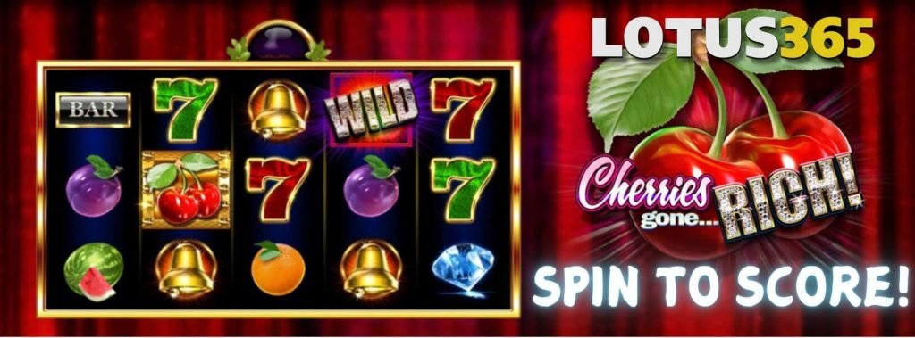 How to Play Cherries Gone Rich on Lotus365 6 Play Cherries Gone Rich