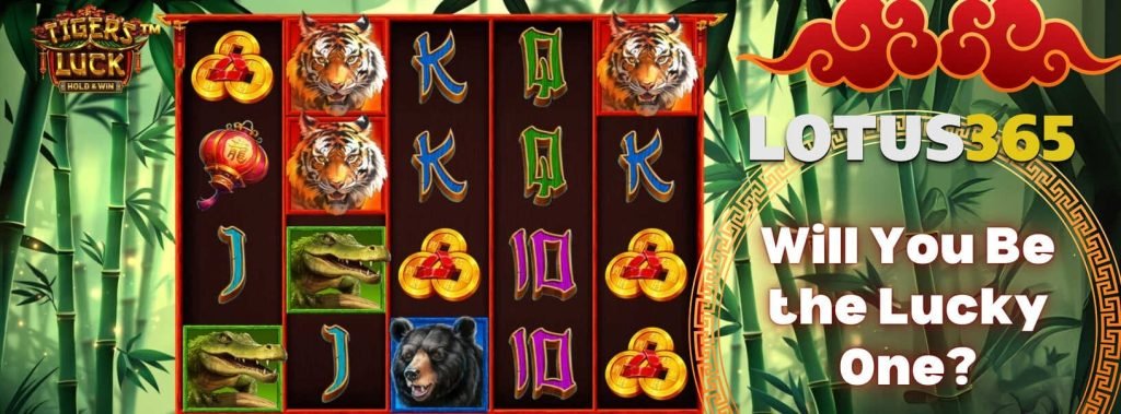Tigers Luck Slot Review Slot on Lotus365 2 Play Tigers Luck Slot