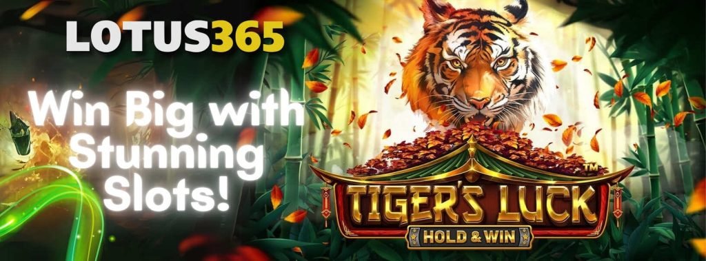 Tigers Luck Slot Review Slot on Lotus365 6 Tigers Luck Slot