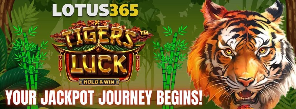Tigers Luck Slot Review Slot on Lotus365 3 Tigers Luck Slot bonus