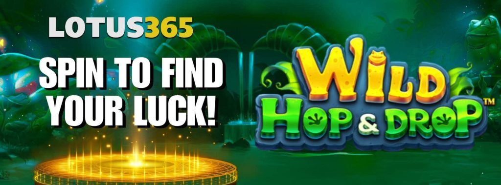 Wild Hop and Drop Slot Review on Lotus365 4 Wild Hop and Drop Bonus Features