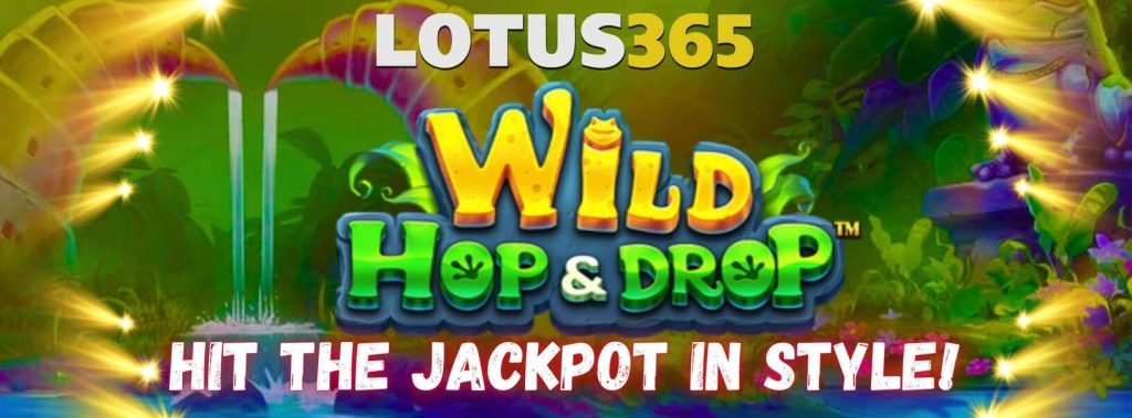 Wild Hop and Drop Slot Review on Lotus365 3 Wild Hop and Drop Slot